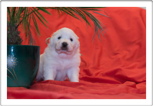 Capture One Session0360